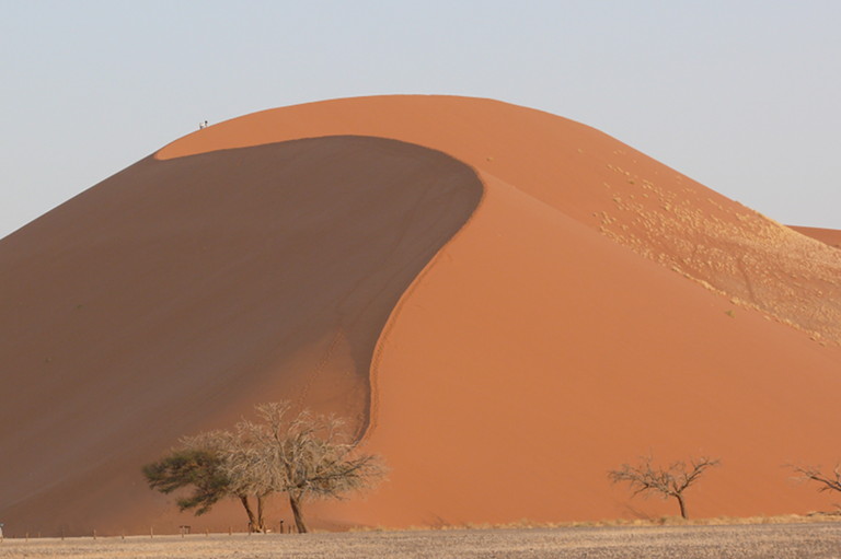 Düne in der Wüste Namib
